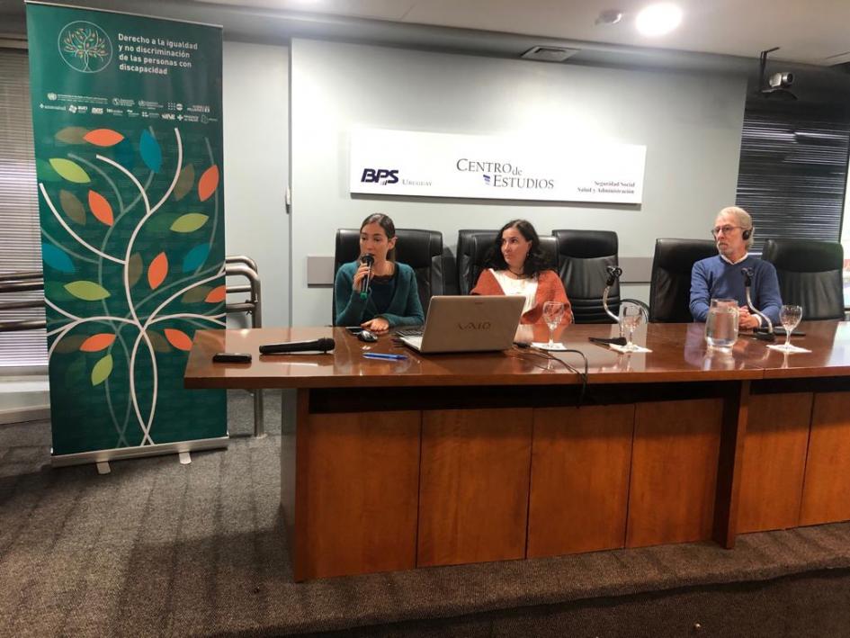 Taller sobre sistematización de datos sobre la población con discapacidad Taller sobre sistematización de datos sobre la población con discapacidad
