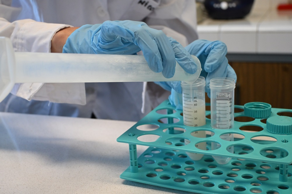 Programa integral de formación de formadores en innovación y sostenibiidad de empaques