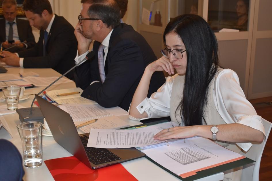 III Reunión de trabajo de coordinadores nacionales y responsables de cooperación 