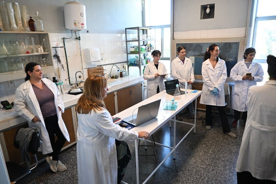 Programa integral de formación de formadores en innovación y sostenibiidad de empaques