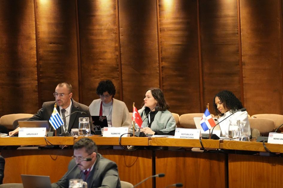 Segunda Reunión de la Conferencia Regional sobre Cooperación Sur Sur Segunda Reunión de la Conferencia Regional sobre Cooperación Sur Sur