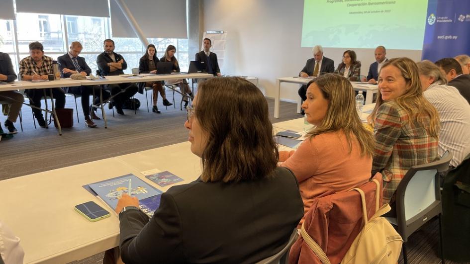 Reunión de integrantes de PIPAs de la Cooperación Iberoamericana Reunión de integrantes de PIPAs de la Cooperación Iberoamericana