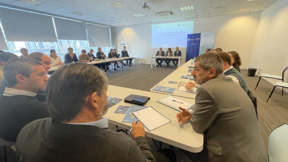 Reunión de integrantes de PIPAs de la Cooperación Iberoamericana Reunión de integrantes de PIPAs de la Cooperación Iberoamericana
