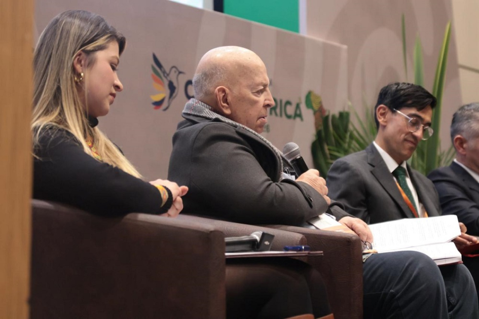 Panel 1: Construcción de paz desde un enfoque institucional y policial. Panel 1: Construcción de paz desde un enfoque institucional y policial.