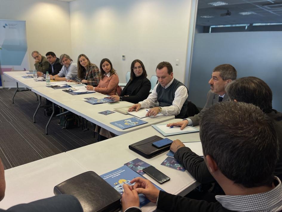 Reunión de integrantes de PIPAs de la Cooperación Iberoamericana Reunión de integrantes de PIPAs de la Cooperación Iberoamericana