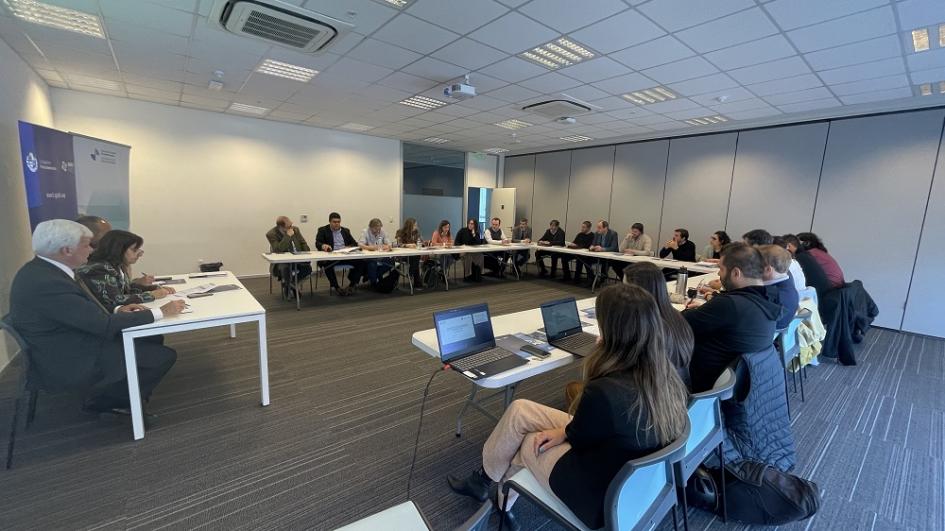 Reunión de integrantes de PIPAs de la Cooperación Iberoamericana Reunión de integrantes de PIPAs de la Cooperación Iberoamericana