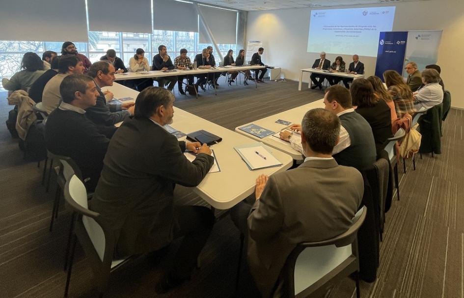 Reunión de integrantes de PIPAs de la Cooperación Iberoamericana Reunión de integrantes de PIPAs de la Cooperación Iberoamericana