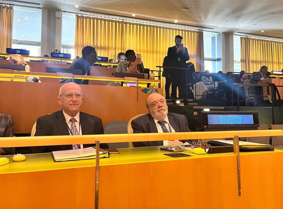 Foro Político de Alto Nivel de Desarrollo Sostenible 2024 Foro Político de Alto Nivel de Desarrollo Sostenible 2024