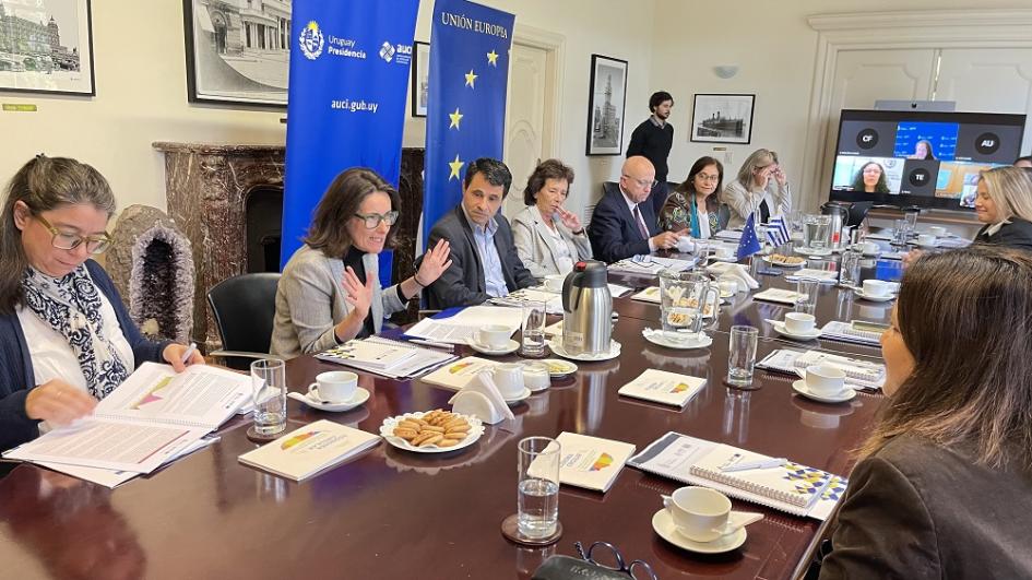Cierre de la Iniciativa Facilidad de Desarrollo en Transición en Uruguay Cierre de la Iniciativa Facilidad de Desarrollo en Transición en Uruguay