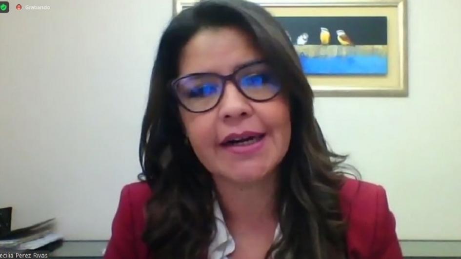 Webinario Violencia contra mujeres y niñas: una amenaza criminal global Webinario Violencia contra mujeres y niñas: una amenaza criminal global