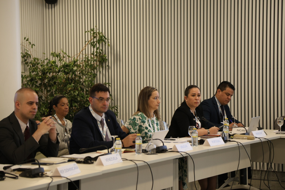 III Reunión de Coordinadores Nacionales y Responsables de Cooperación III Reunión de Coordinadores Nacionales y Responsables de Cooperación