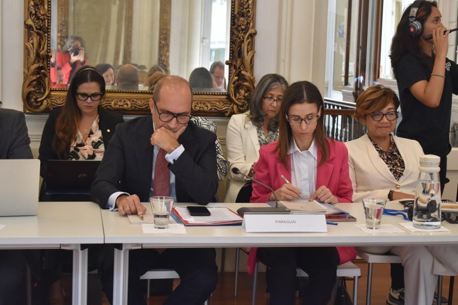 III Reunión de trabajo de coordinadores nacionales y responsables de cooperación 