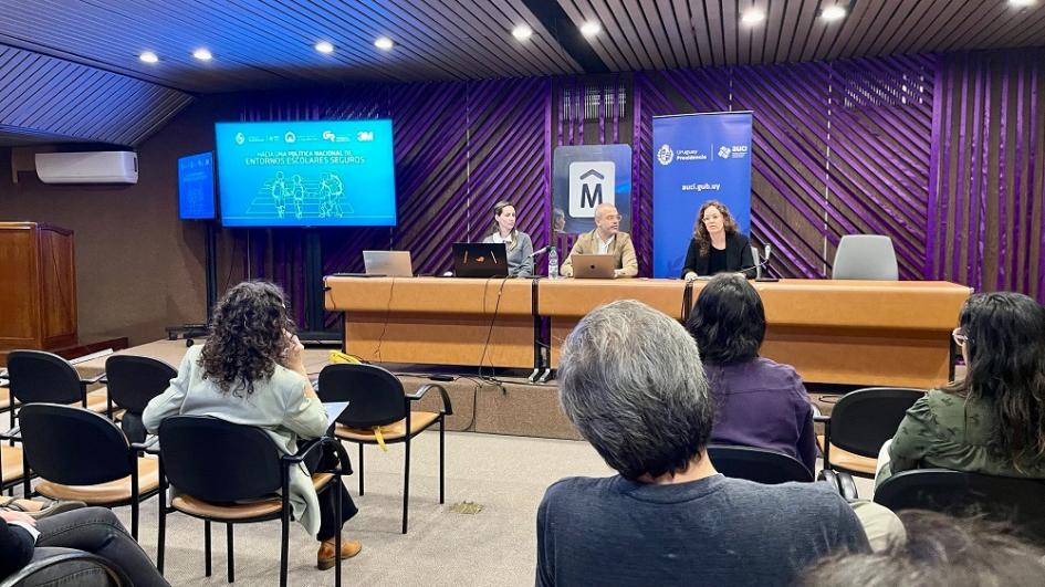Presentación de resultados sobre aplicación de proyectos para entornos escolares seguros Presentación de resultados sobre aplicación de proyectos para entornos escolares seguros