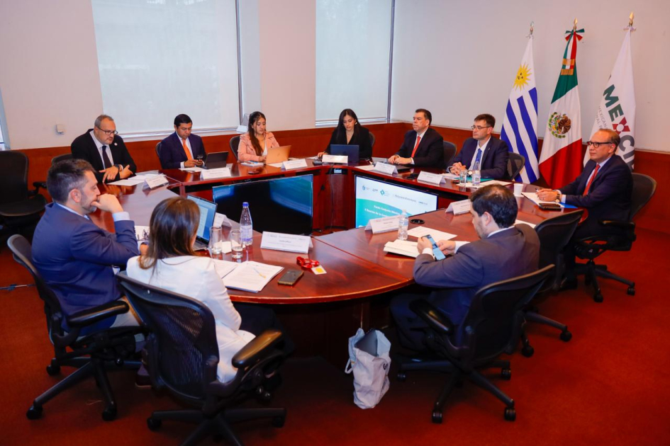 Reunión del Fondo Conjunto Uruguay - México