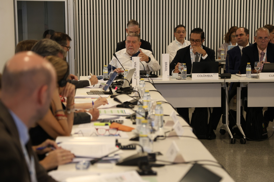 III Reunión de Coordinadores Nacionales y Responsables de Cooperación III Reunión de Coordinadores Nacionales y Responsables de Cooperación