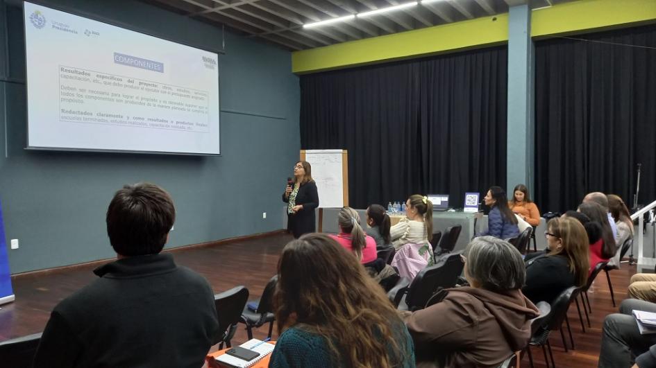 Taller de formulación de proyectos de cooperación internacional para funcionarios.