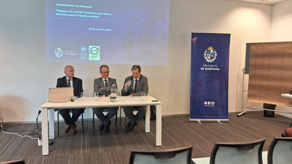 Taller Apoyo a la Acción Temprana del Marco Mundial de la Biodiversidad Taller Apoyo a la Acción Temprana del Marco Mundial de la Biodiversidad