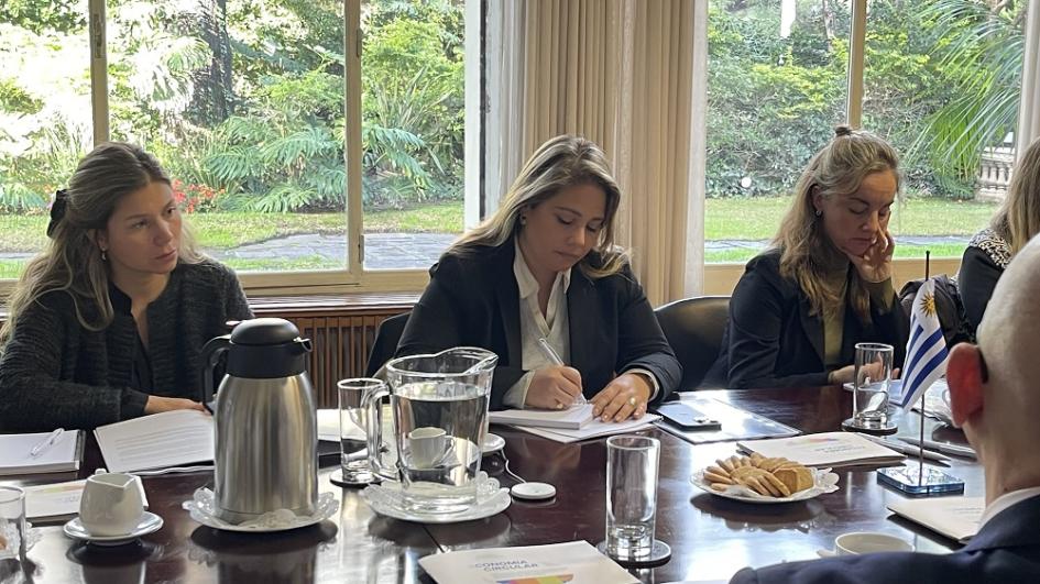 Cierre de la Iniciativa Facilidad de Desarrollo en Transición en Uruguay Cierre de la Iniciativa Facilidad de Desarrollo en Transición en Uruguay