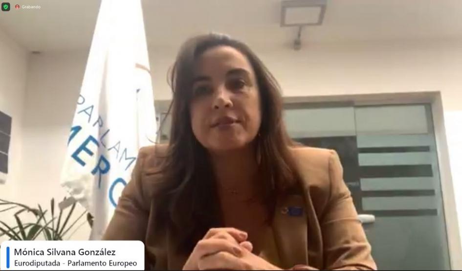Webinario Violencia contra mujeres y niñas: una amenaza criminal global Webinario Violencia contra mujeres y niñas: una amenaza criminal global