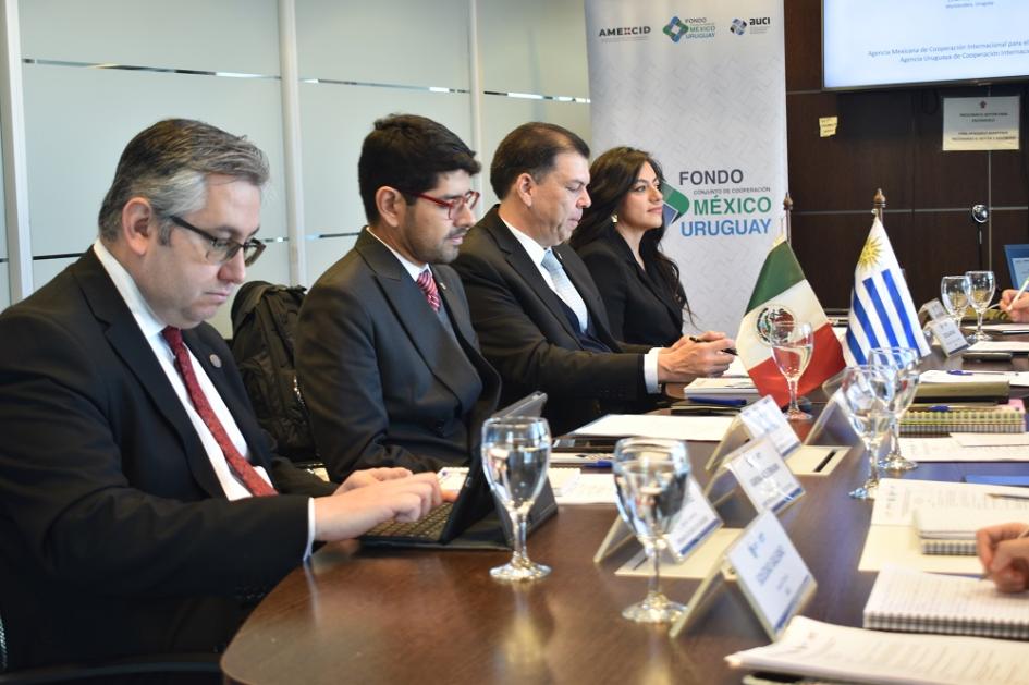 Reunión del Fondo Conjunto Uruguay - México
