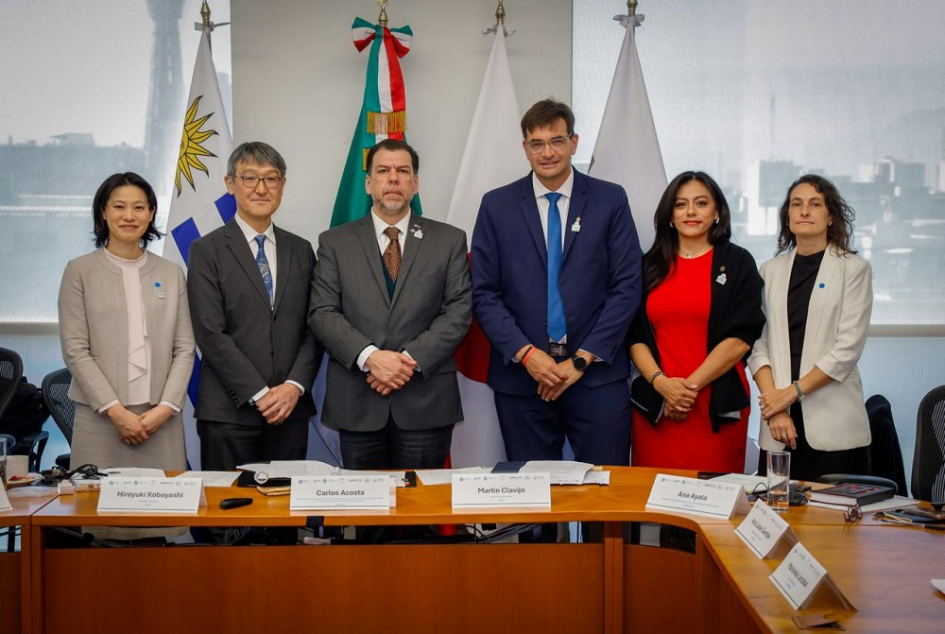 Seminario-Taller Internacional sobre Envejecimiento y la Atención a las Personas Mayores