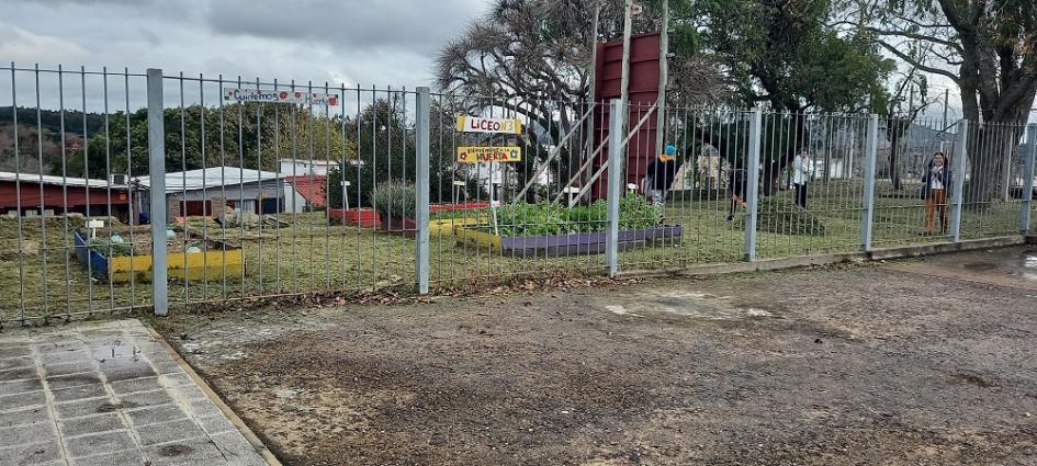 Liceo N 3 de Minas (huerta).