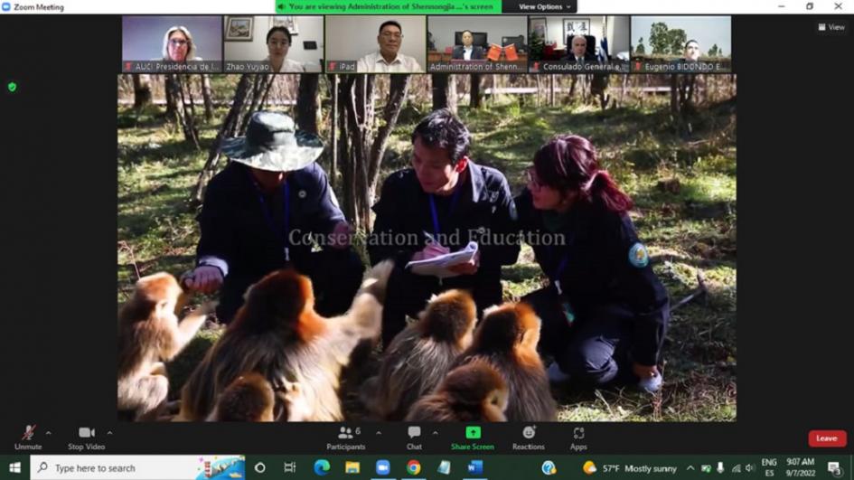 Representantes de Shennongjia y Grutas del Palacio acuerdan acciones de cooperación técnica Representantes de Shennongjia y Grutas del Palacio acuerdan acciones de cooperación técnica