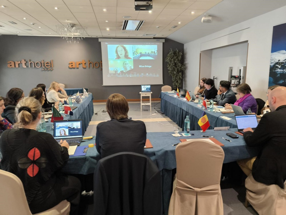 Reunión del Consejo Intergubernamental del CGpDS