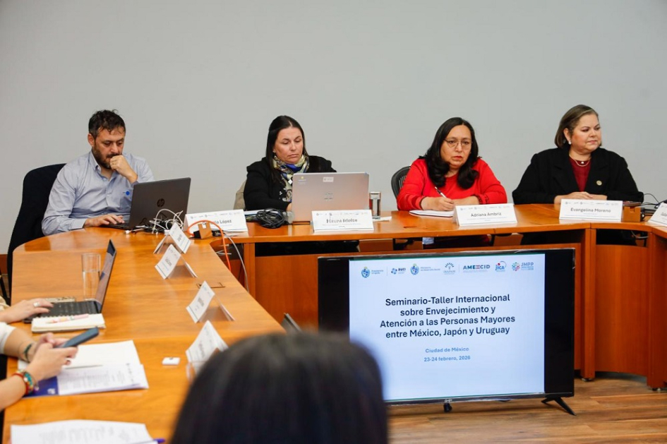 Seminario-Taller Internacional sobre Envejecimiento y la Atención a las Personas Mayores