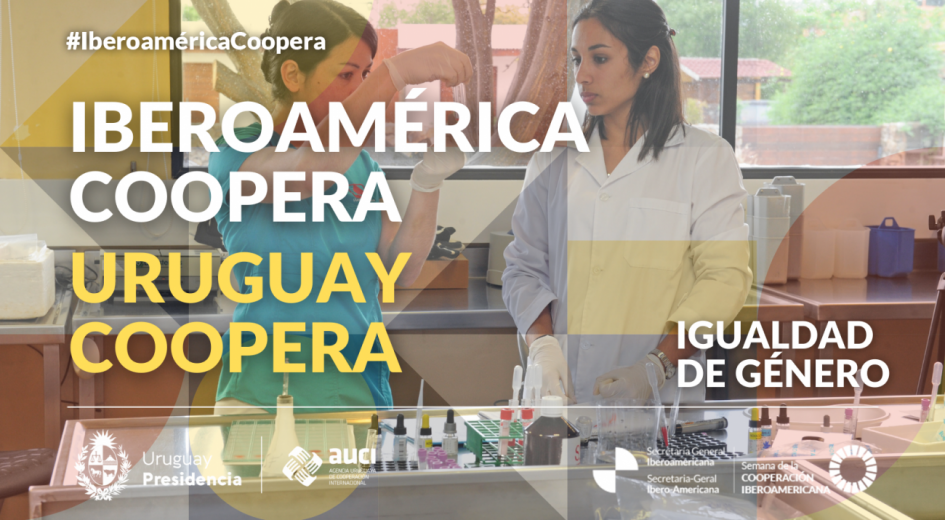 flyer igualdad de género flyer igualdad de género