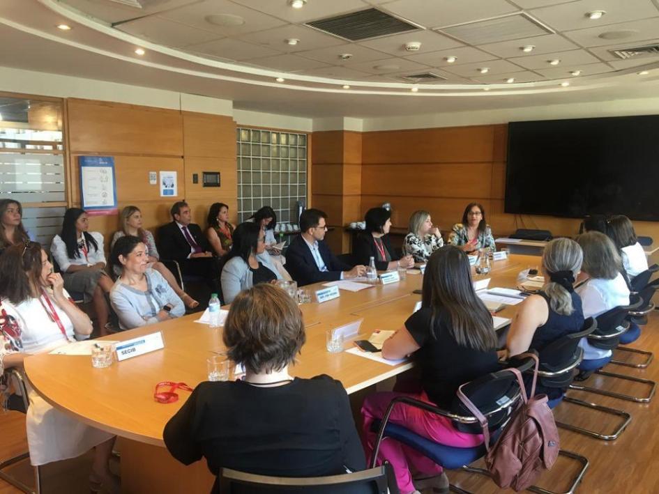 Encuentro de integrantes de CGpDS en Santiago de Chile