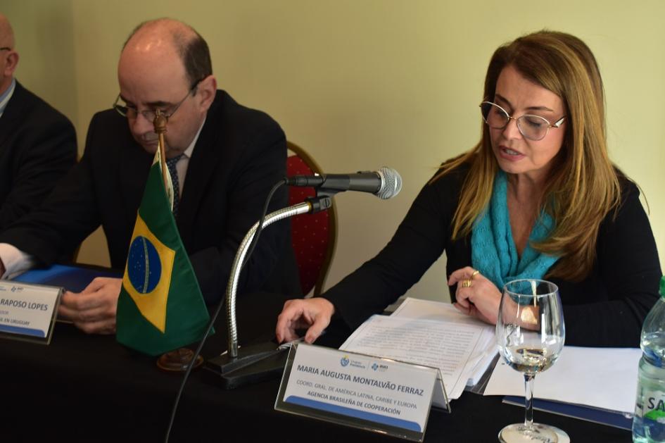 Reunión técnica de cooperación entre Brasil y Uruguay.