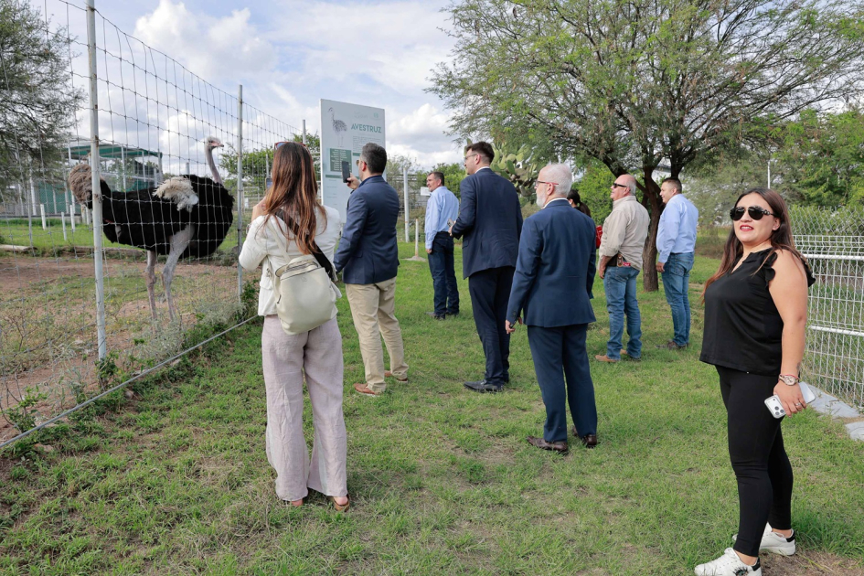 Reunión del Fondo Conjunto Uruguay - México