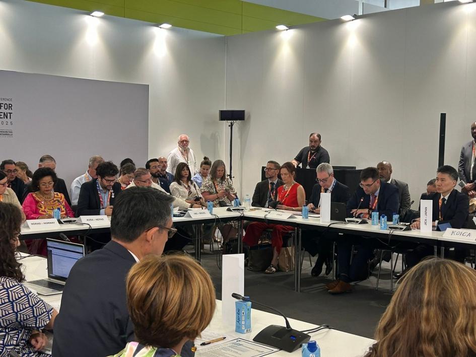 Reunión de representantes de agencias de desarrollo Reunión de representantes de agencias de desarrollo