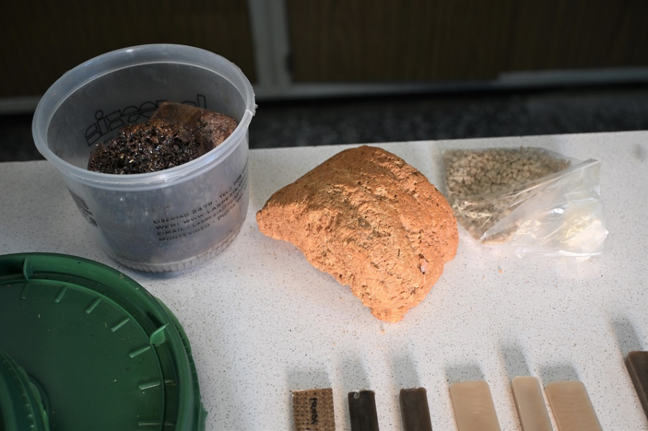 Entrevista la profesora, Mary Lopretti, en Facultad de Ciencias de la UdelaR.