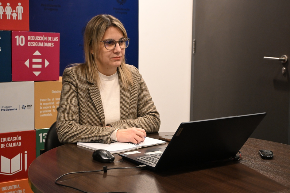 Taller sobre participación e inclusión digital de las personas mayores entre Uruguay y Chile
