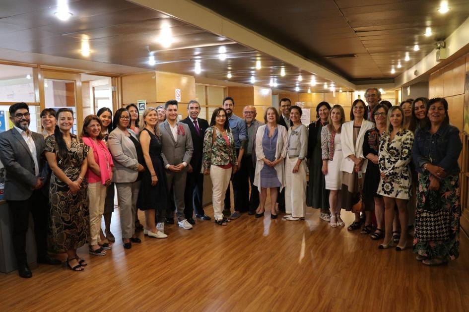 Encuentro de integrantes de CGpDS en Santiago de Chile