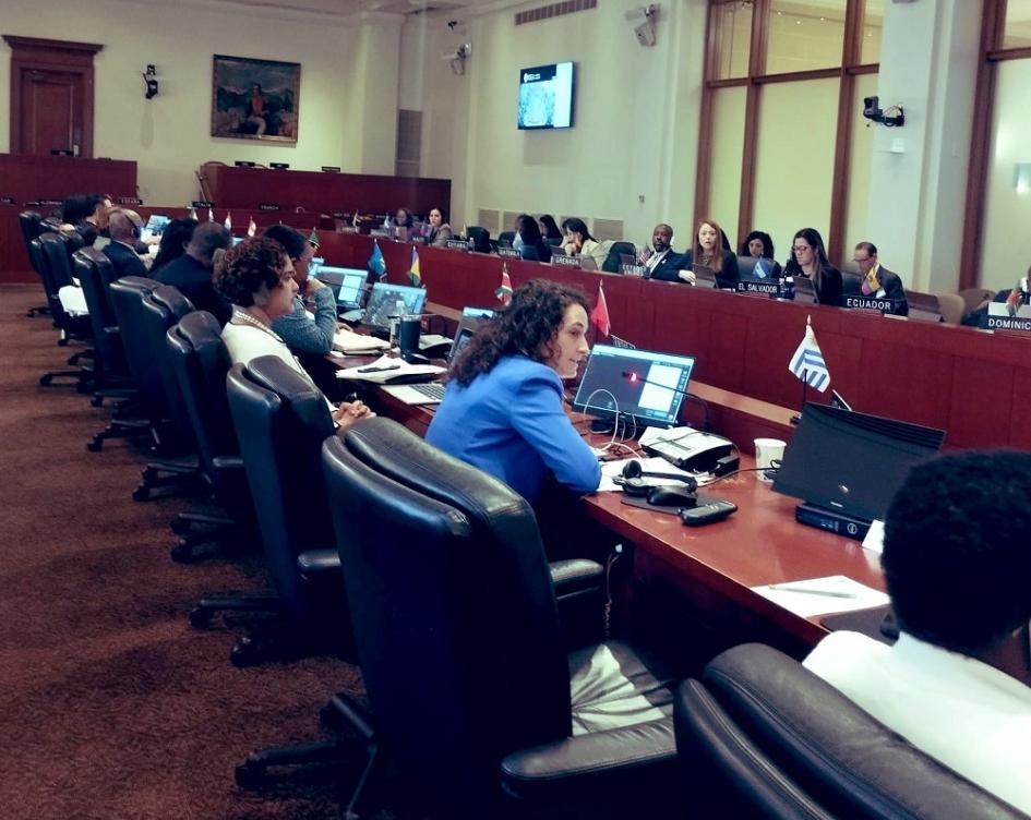 IV Reunión Especializada del CIDI de Altas Autoridades de Cooperación organizado por OEA IV Reunión Especializada del CIDI de Altas Autoridades de Cooperación organizado por OEA
