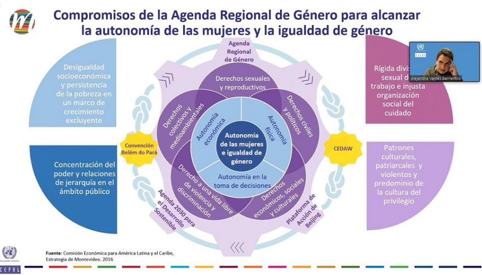 Webinario Violencia contra mujeres y niñas: una amenaza criminal global Webinario Violencia contra mujeres y niñas: una amenaza criminal global