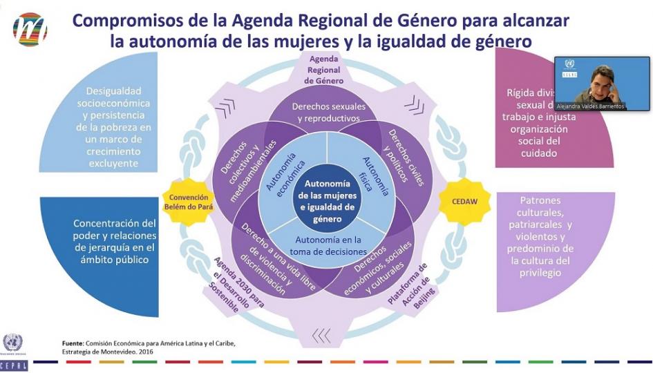 Webinario Violencia contra mujeres y niñas: una amenaza criminal global