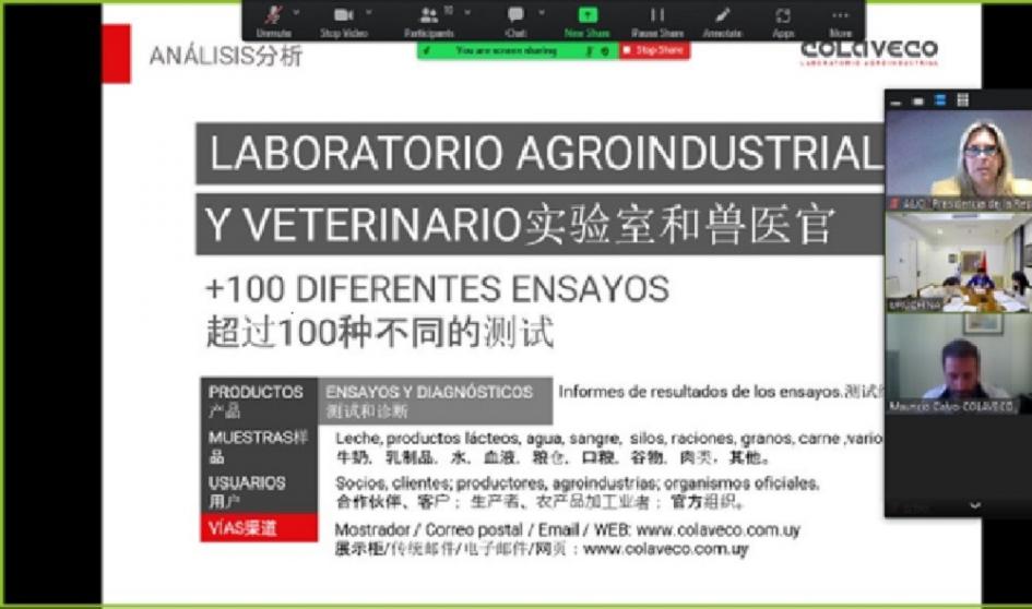 Municipio de Nueva Helvecia y ciudad de Zaozhuang realizan intercambio técnico sobre lácteos