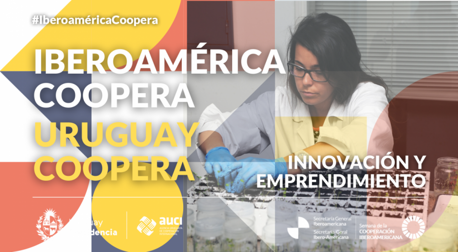 flyer conocimiento flyer innovación
