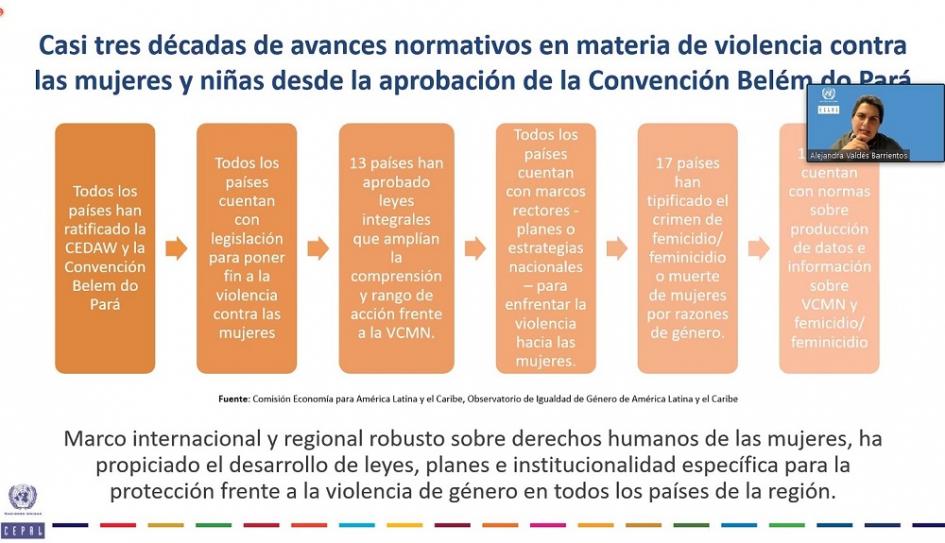 Webinario Violencia contra mujeres y niñas: una amenaza criminal global