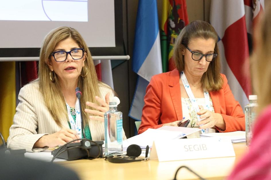 I Reunión de Coordinadores Nacionales y Responsables de Cooperación 2025 I Reunión de Coordinadores Nacionales y Responsables de Cooperación 2025