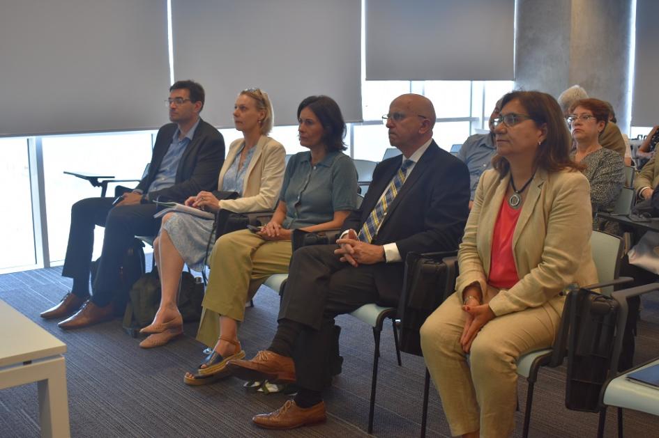 Reunión de equipos que trabajan en proyectos en el marco de la cooperación triangular UE - AUCI