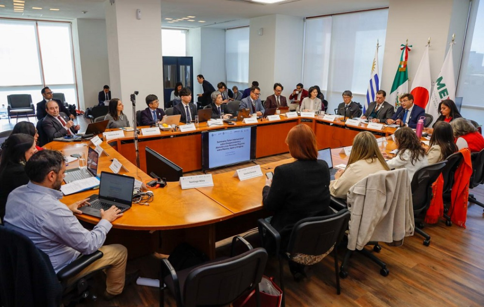 Seminario-Taller Internacional sobre Envejecimiento y la Atención a las Personas Mayores