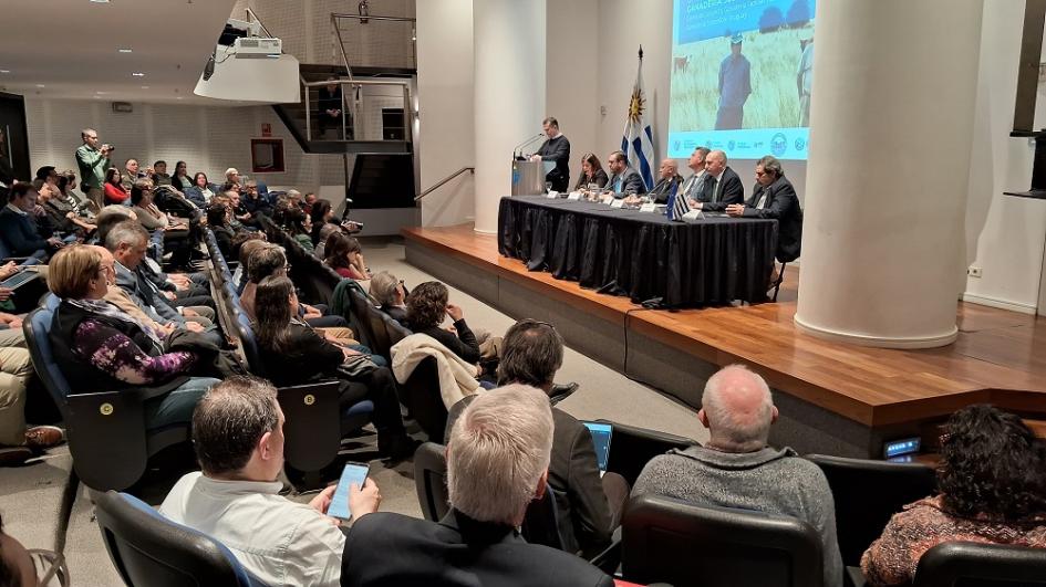 Unión Europea destina 3 millones de euros para renovar apoyo a la ganadería sostenible en Uruguay Unión Europea destina 3 millones de euros para renovar apoyo a la ganadería sostenible en Uruguay