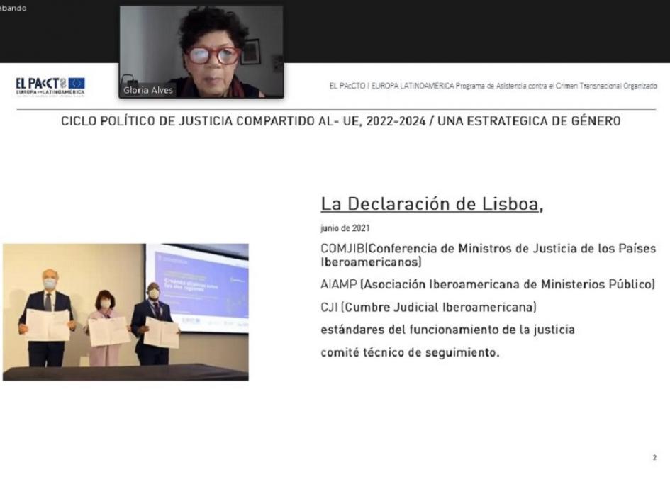 Webinario Violencia contra mujeres y niñas: una amenaza criminal global Webinario Violencia contra mujeres y niñas: una amenaza criminal global