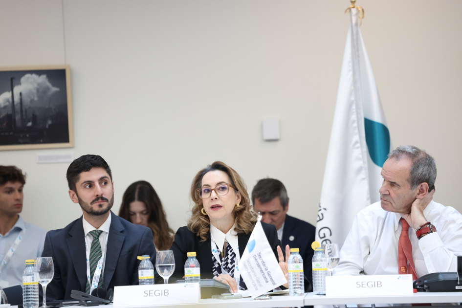 III Reunión de Coordinadores Nacionales y Responsables de Cooperación III Reunión de Coordinadores Nacionales y Responsables de Cooperación