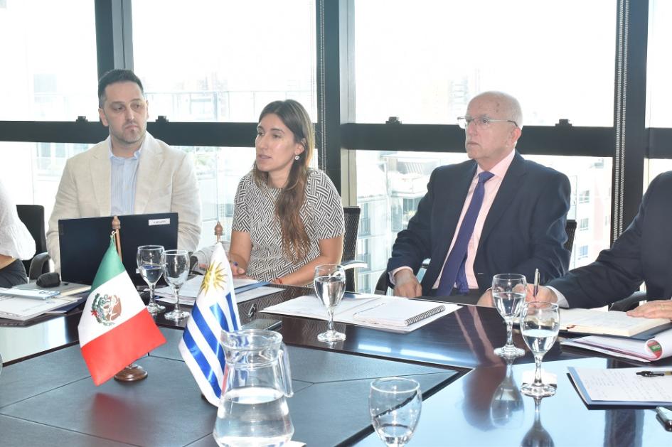 VIII Reunión de la Comisión de Cooperación Técnica y Científica entre México y Uruguay